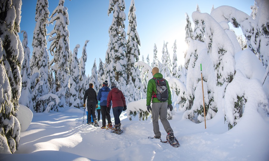 people snowshoeing at mount seymour