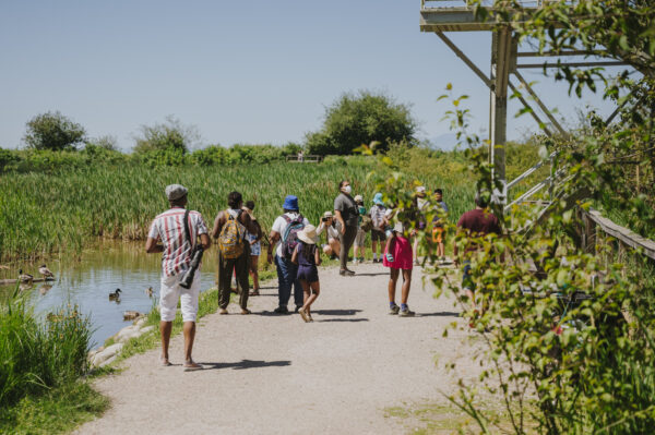 (ON) Festival of Birds at Point Pelee (May 2-4 2025)